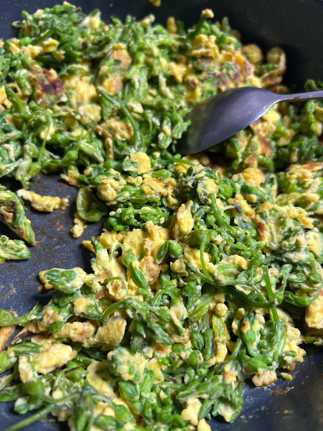 夜香花炒蛋
by wqy