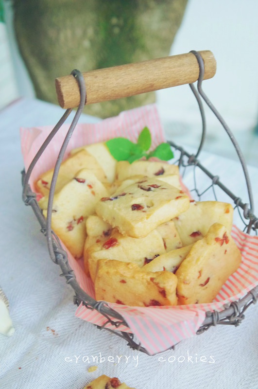蔓越莓饼干