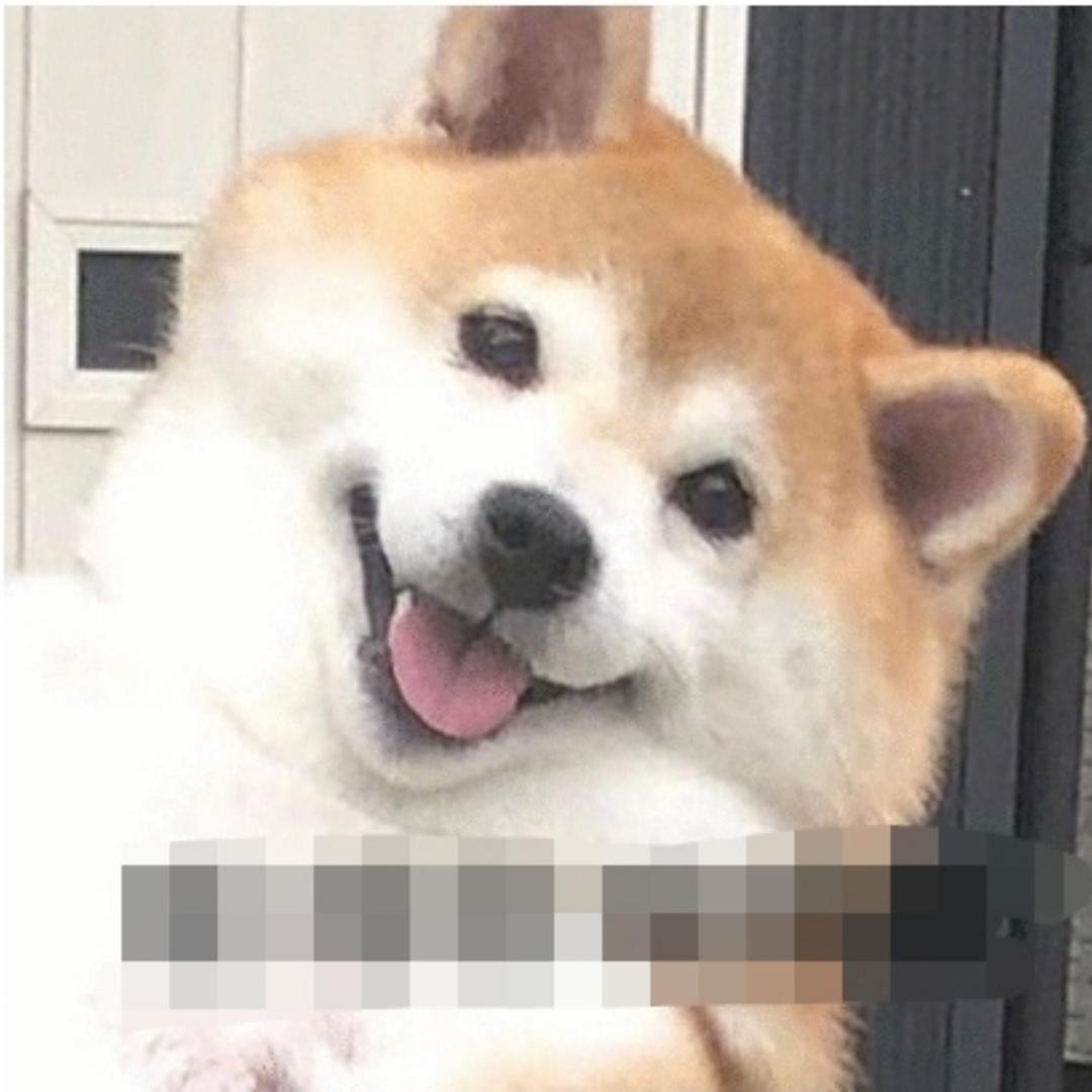 剥了壳壳吃米米L