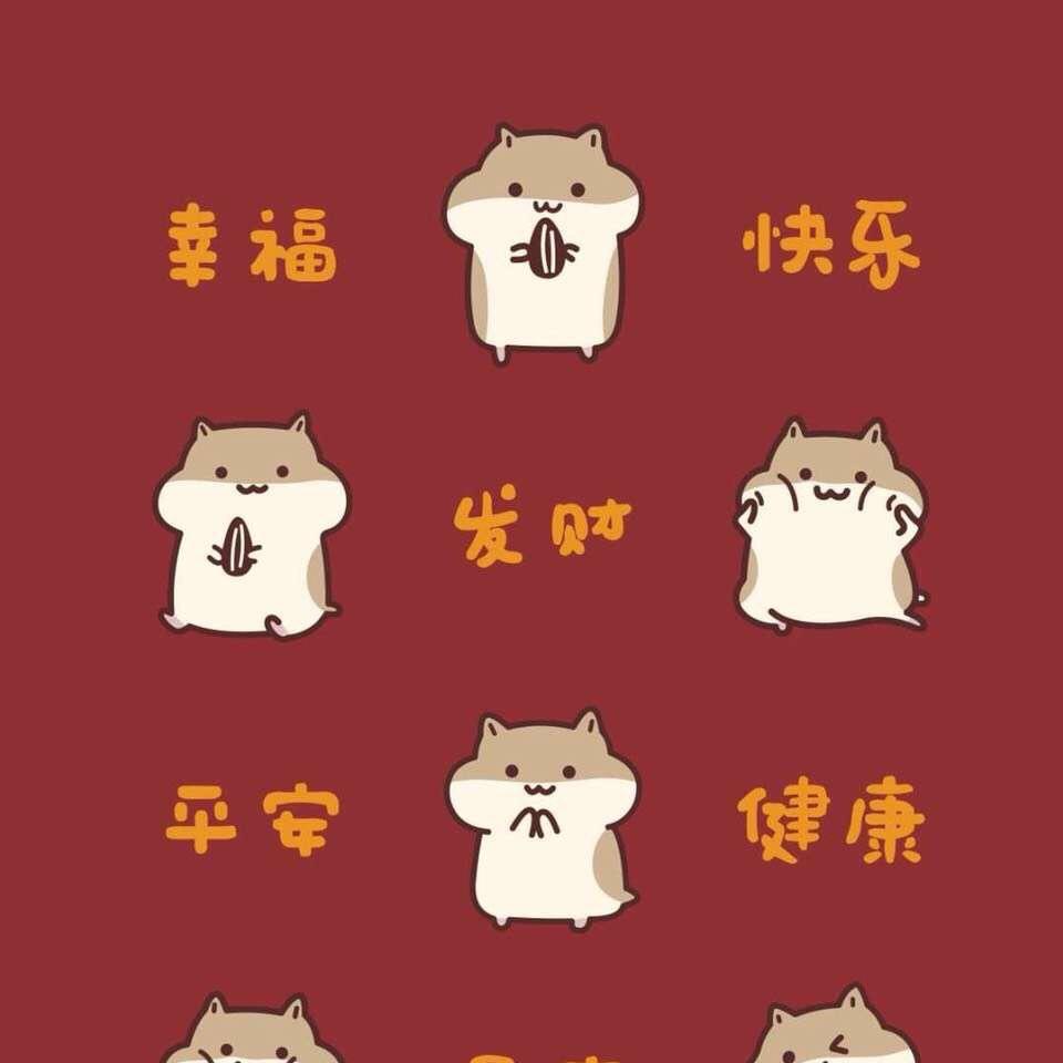 婷婷琦