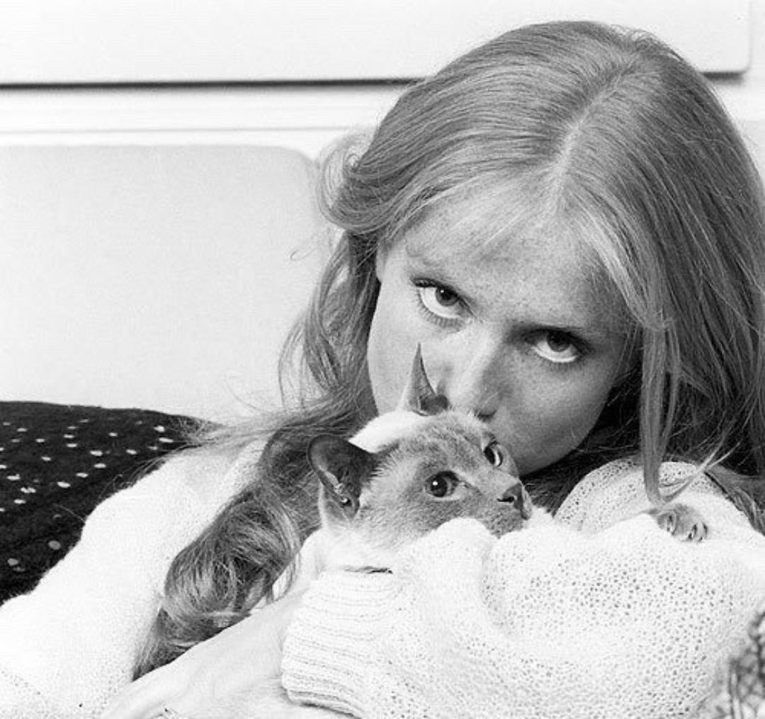 爱吃蘑菇爱吃菜