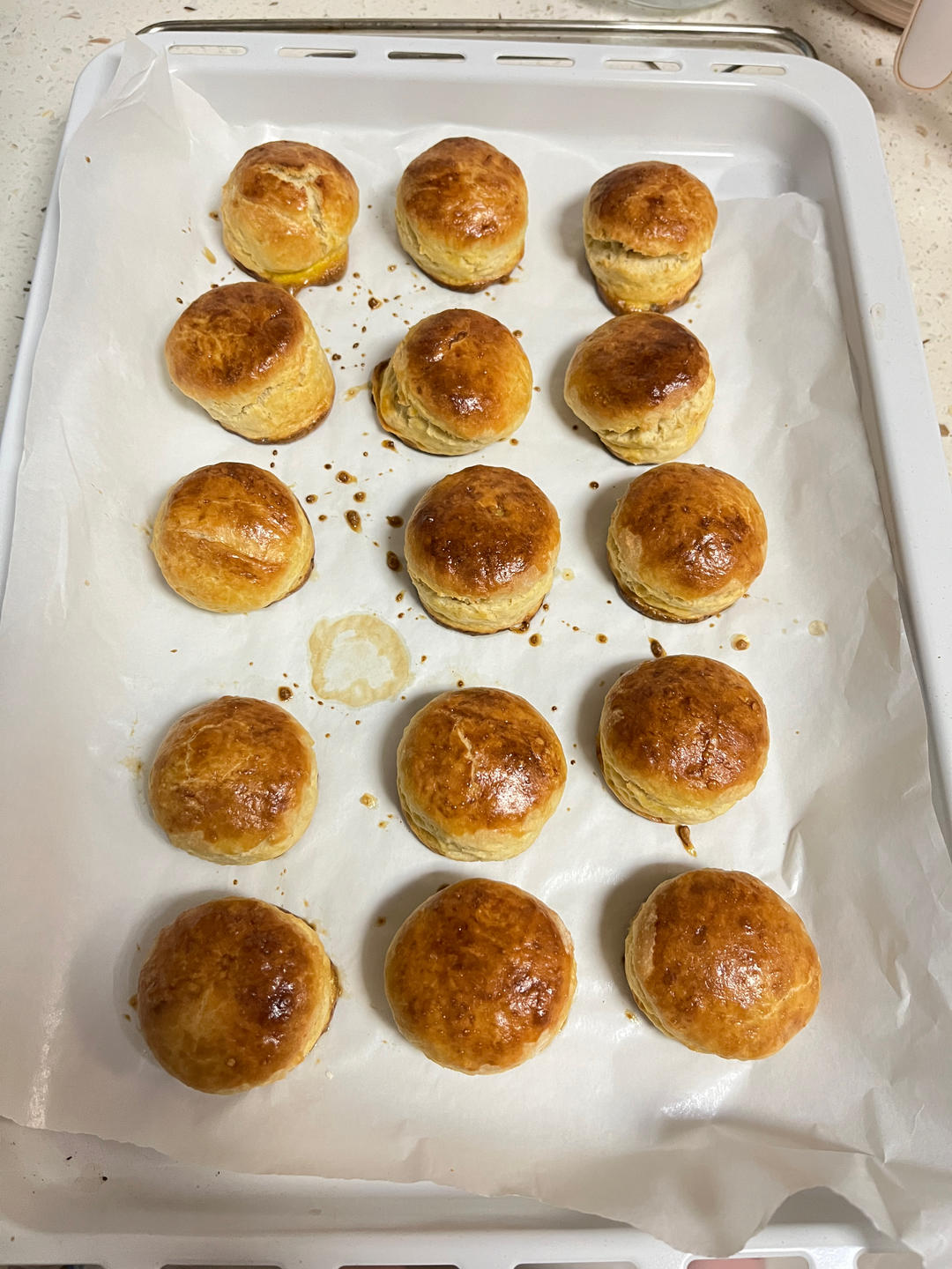 酵母版奶香司康