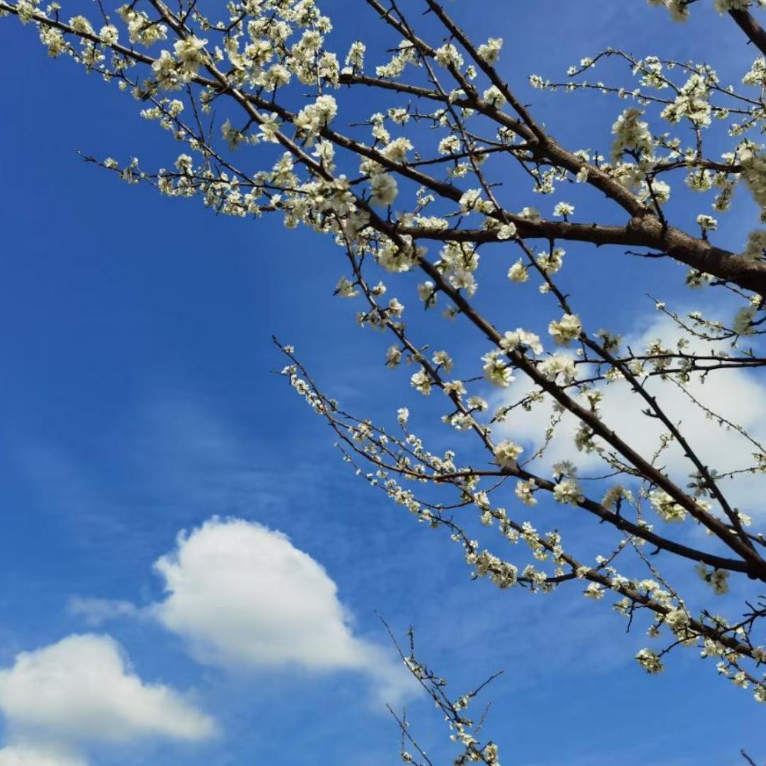 做饭的小伙子哈哈