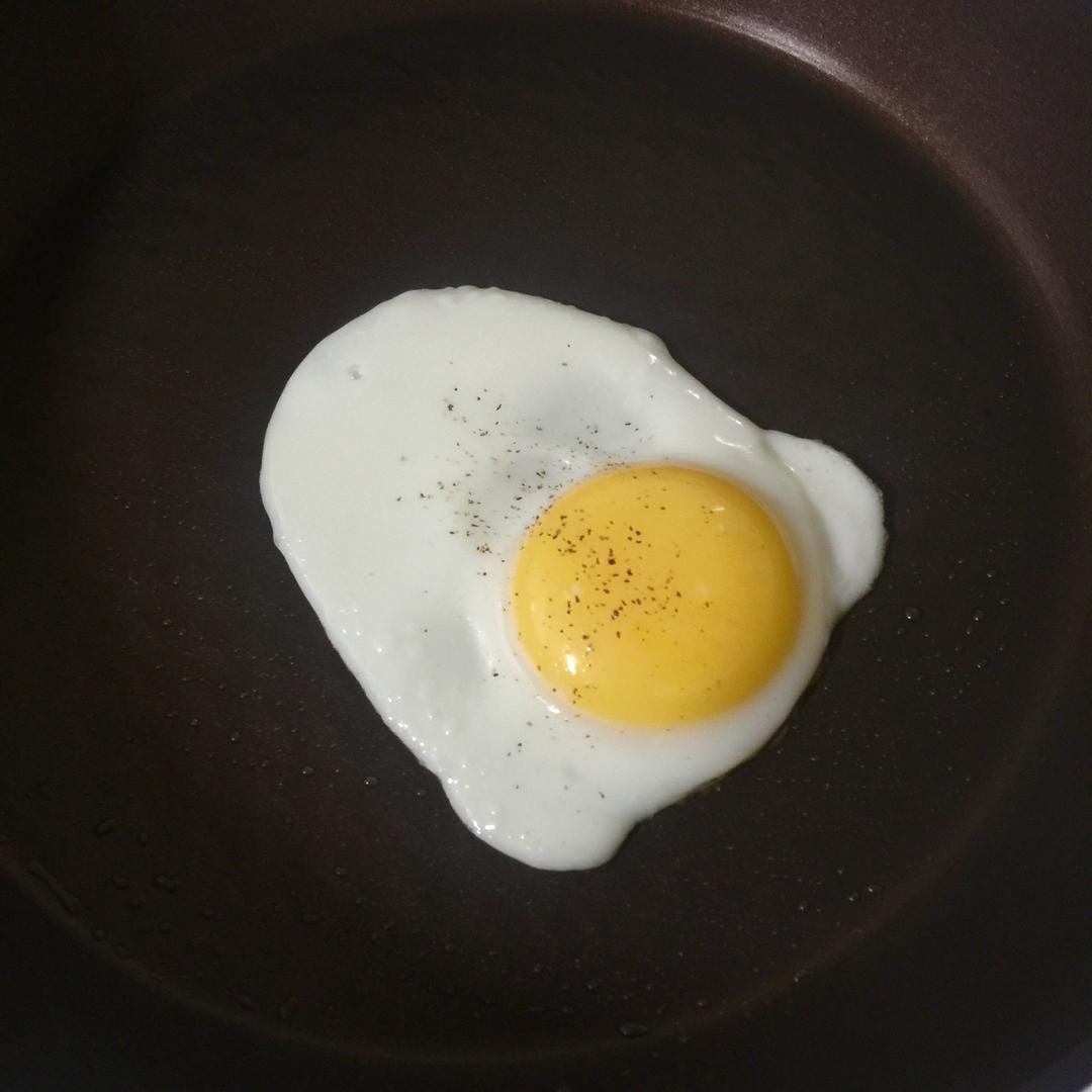 【熊记】太阳蛋