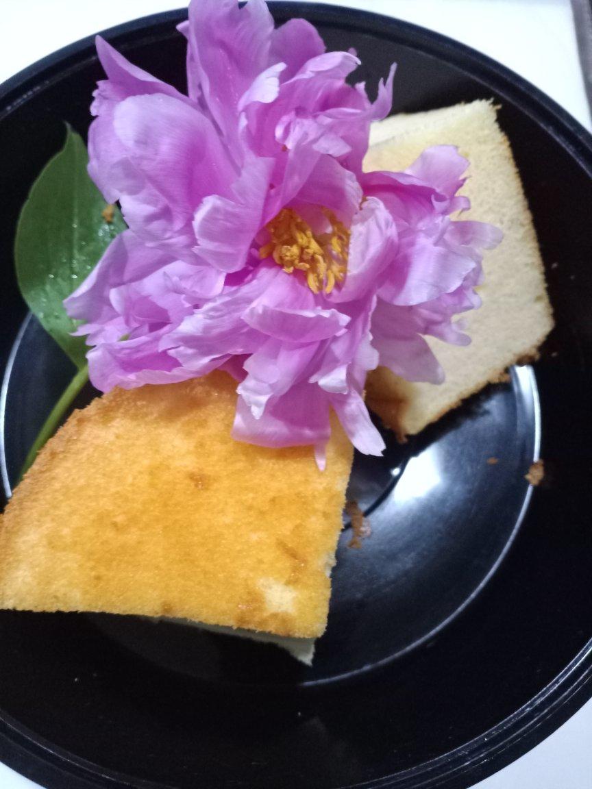 有着芝士口感的酸奶蛋糕