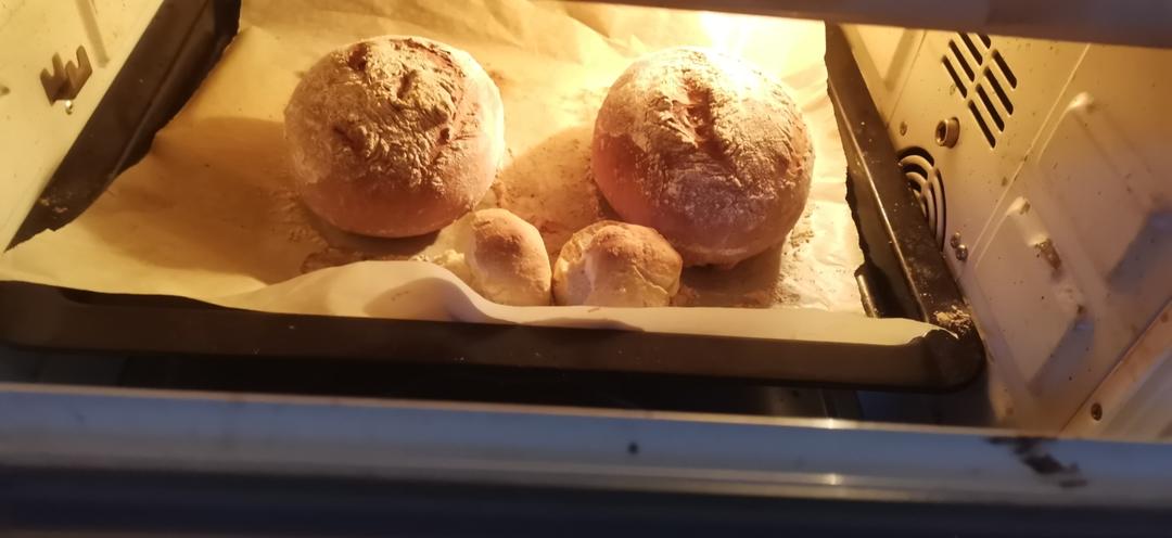 全麦核桃包～软欧包