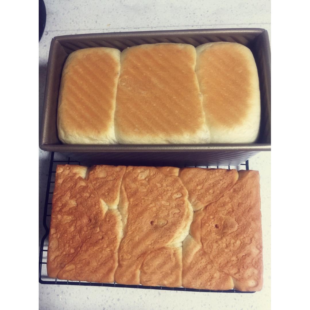 夺命软吐司(๑´ڡ`๑)超软拉丝极速方便的一次发酵吐司