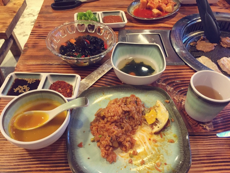 旅行中的枕头猫