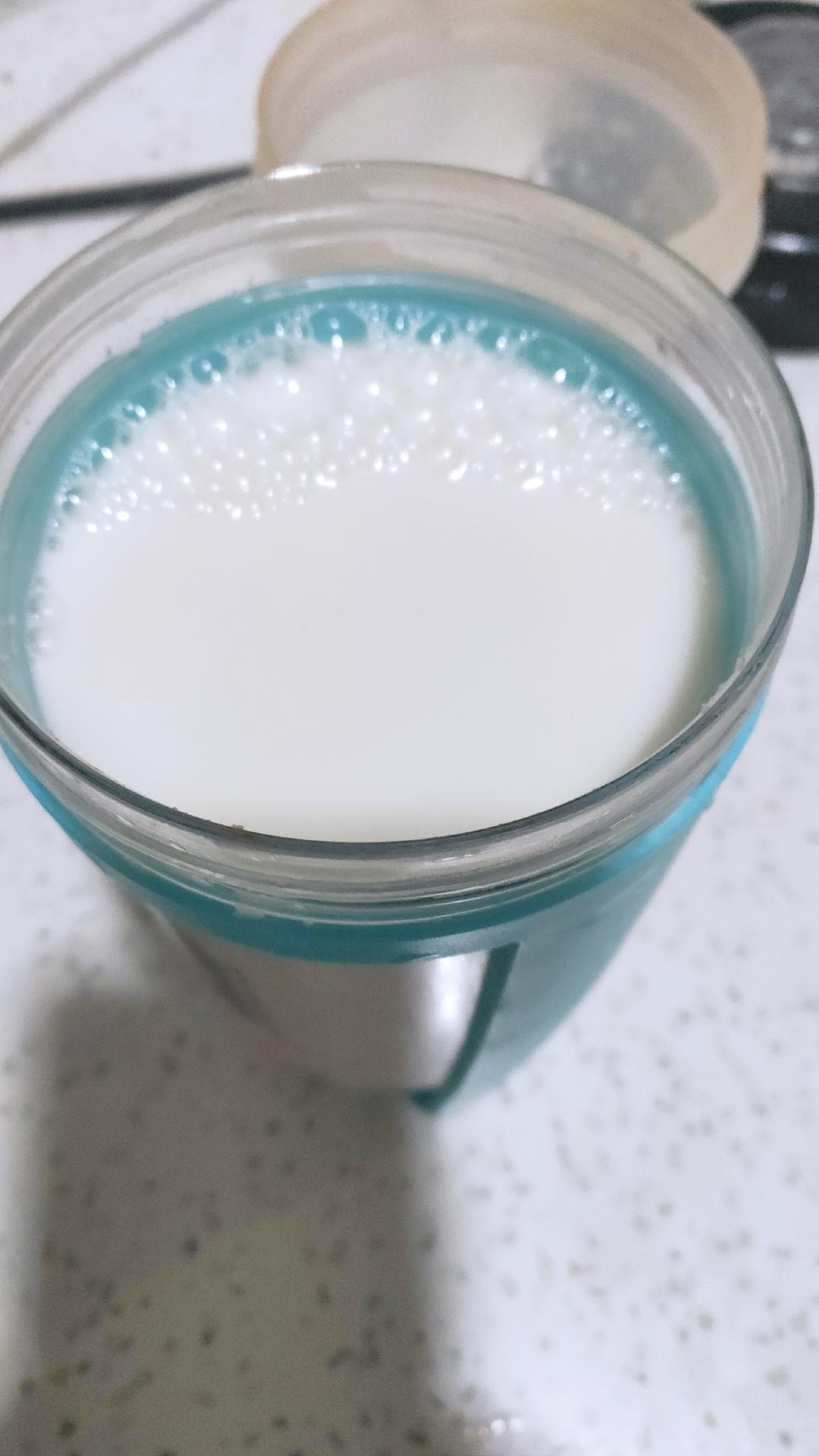 减脂代餐燕麦奶的做法