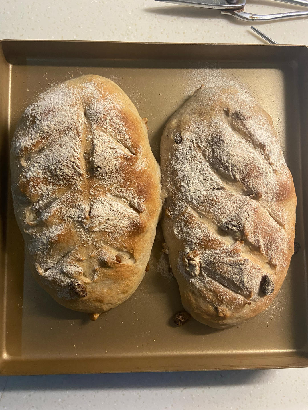 全麦蔓越莓核桃软欧包