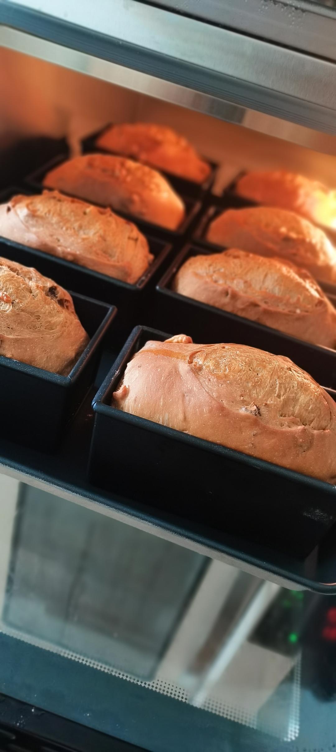 红枣核桃料多多，一炉8条小吐司记录