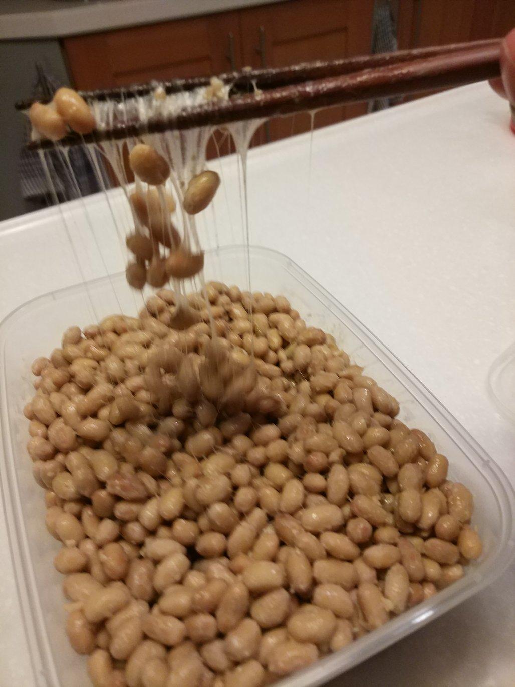 自制纳豆
