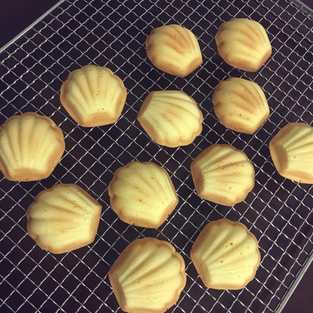 基础玛德琳