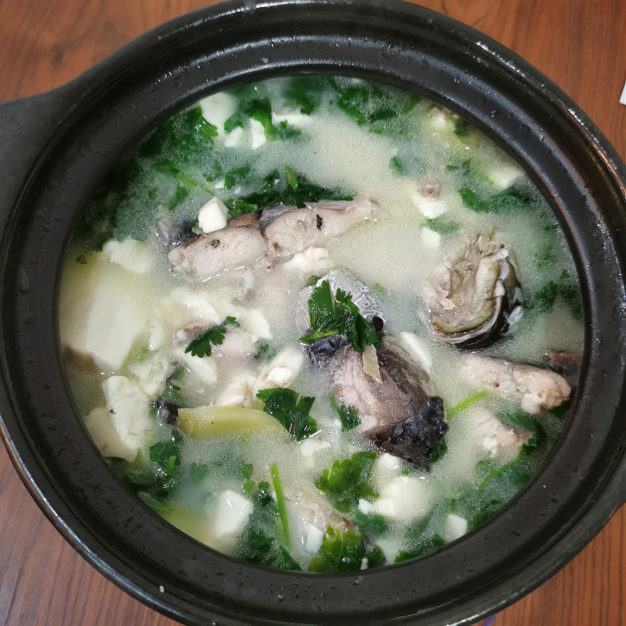 奶白色砂锅鱼头/鲫鱼豆腐汤的做法（零基础炖出奶白色汤）
