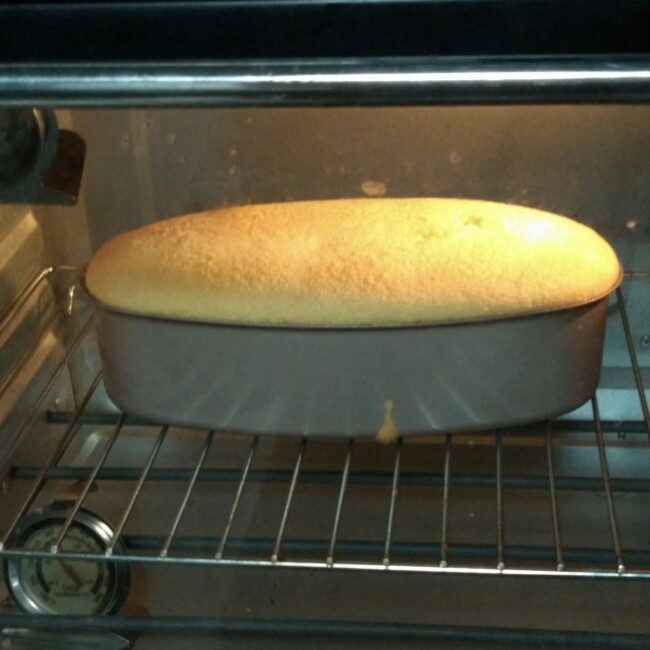 【小山进】海绵蛋糕