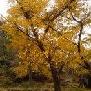 手机用户7707_thi4