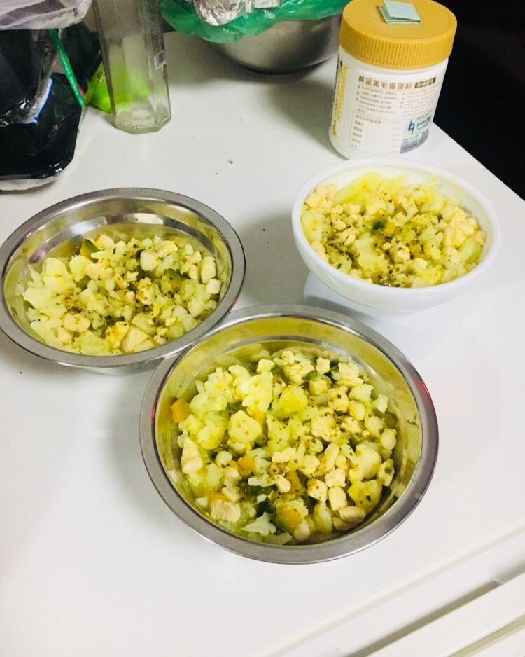 狗狗鲜食——色彩的密码