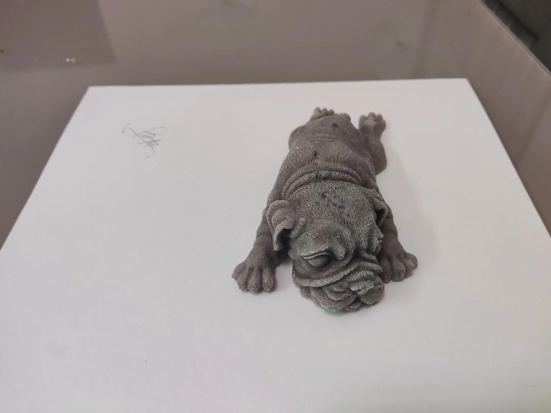 超级简单的网红沙皮狗狗教程