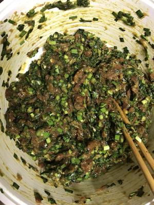 韭菜牛肉饺子的做法 步骤3