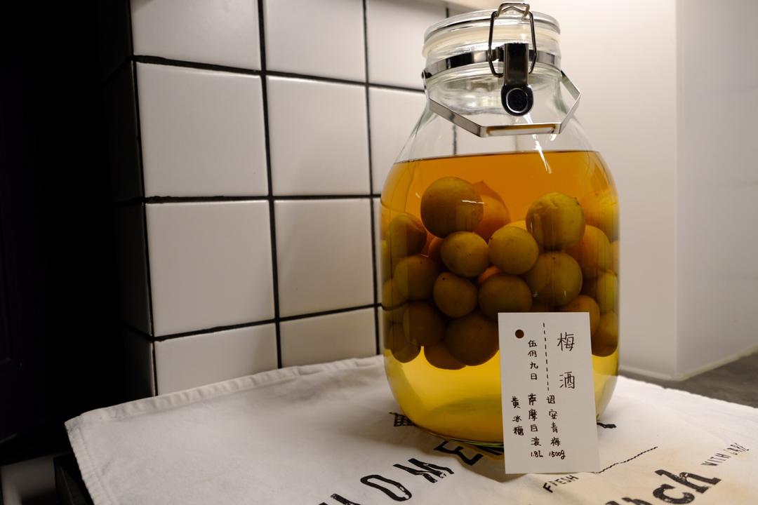 【青梅酒】梅子的沉醉时光（已填坑）