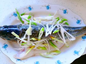13～NANA清蒸鲈鱼☞且熟且嫩且无腥的小技巧的做法 步骤3