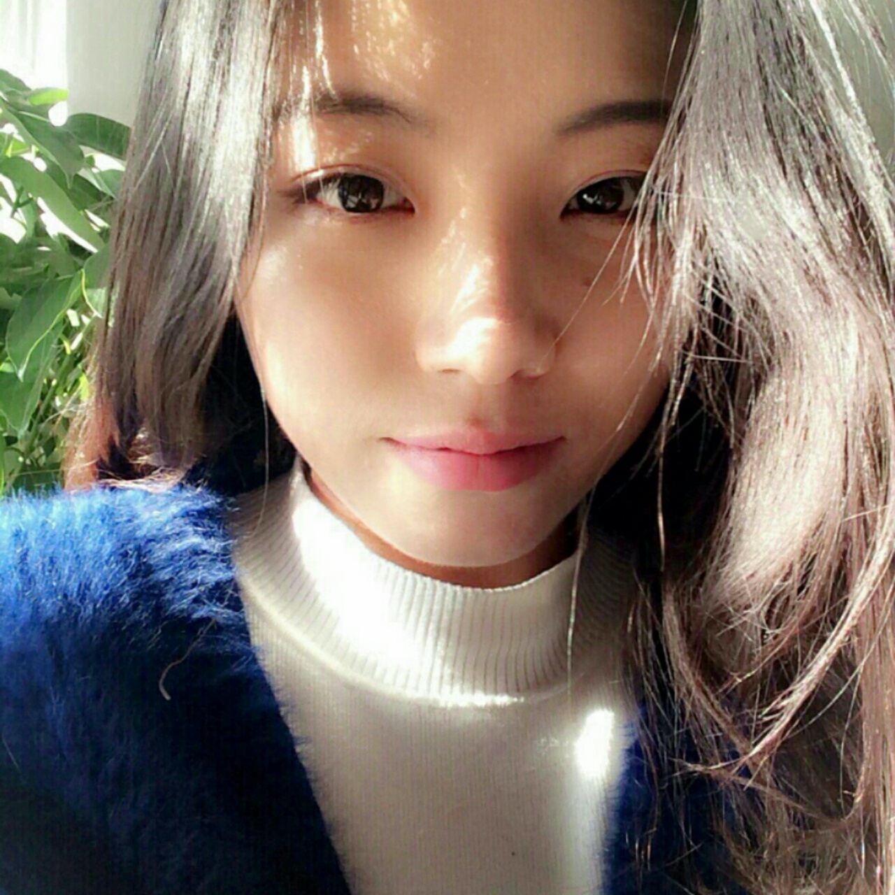 白日梦v