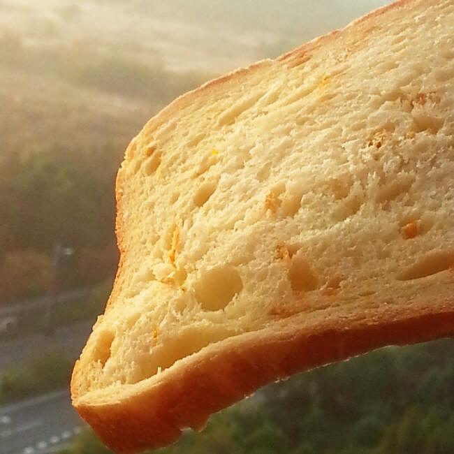 松下面包机版法国布里欧修橙皮面包（独家）的做法
