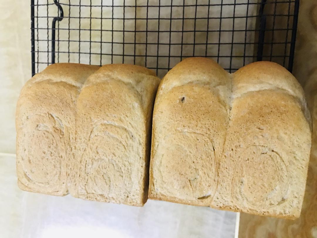 波兰种全麦吐司