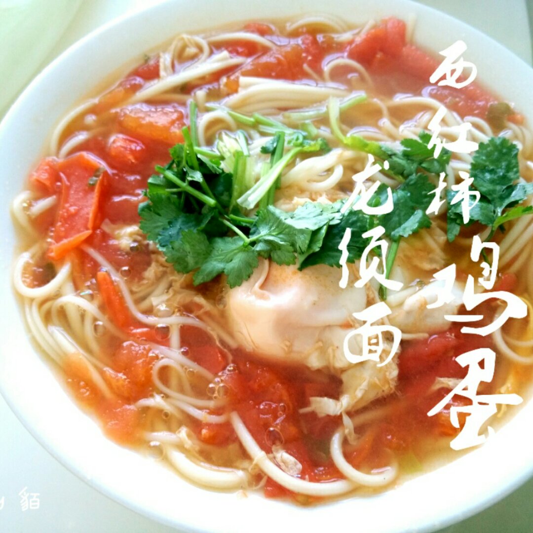 最家常的普通汤面——西红柿鸡蛋龙须面