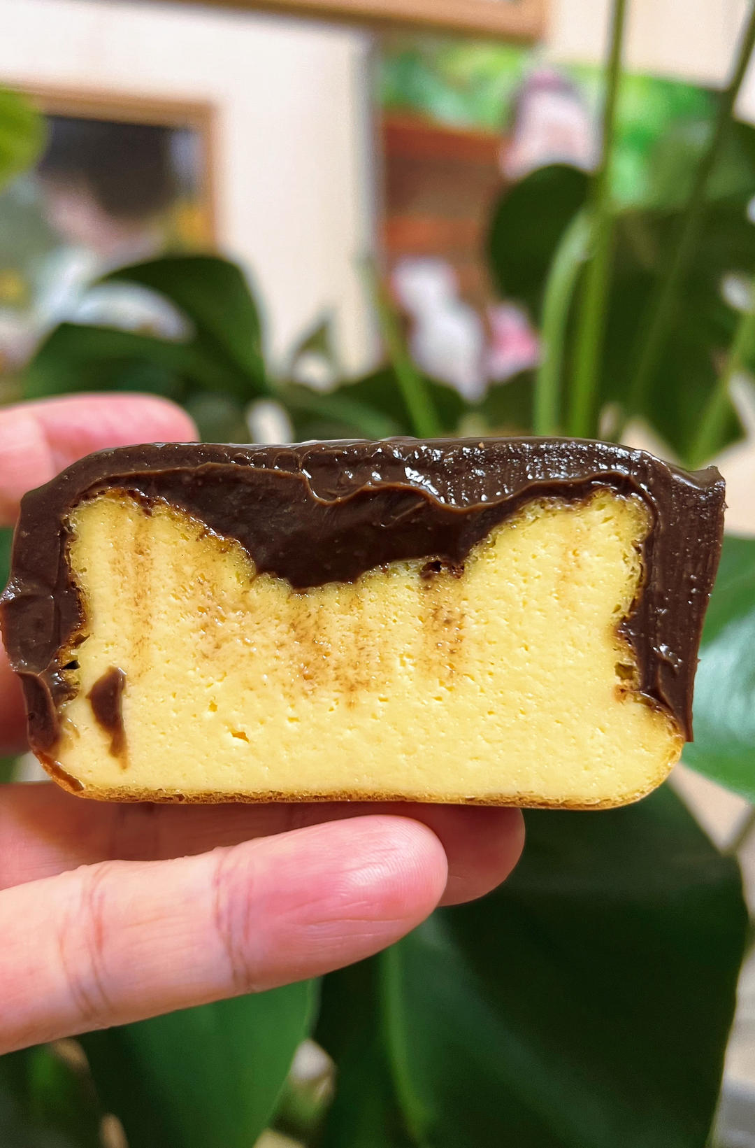 藏不住了 双重口感 全程搅拌搅拌就能成功的巧克力熔岩巴斯克蛋糕！