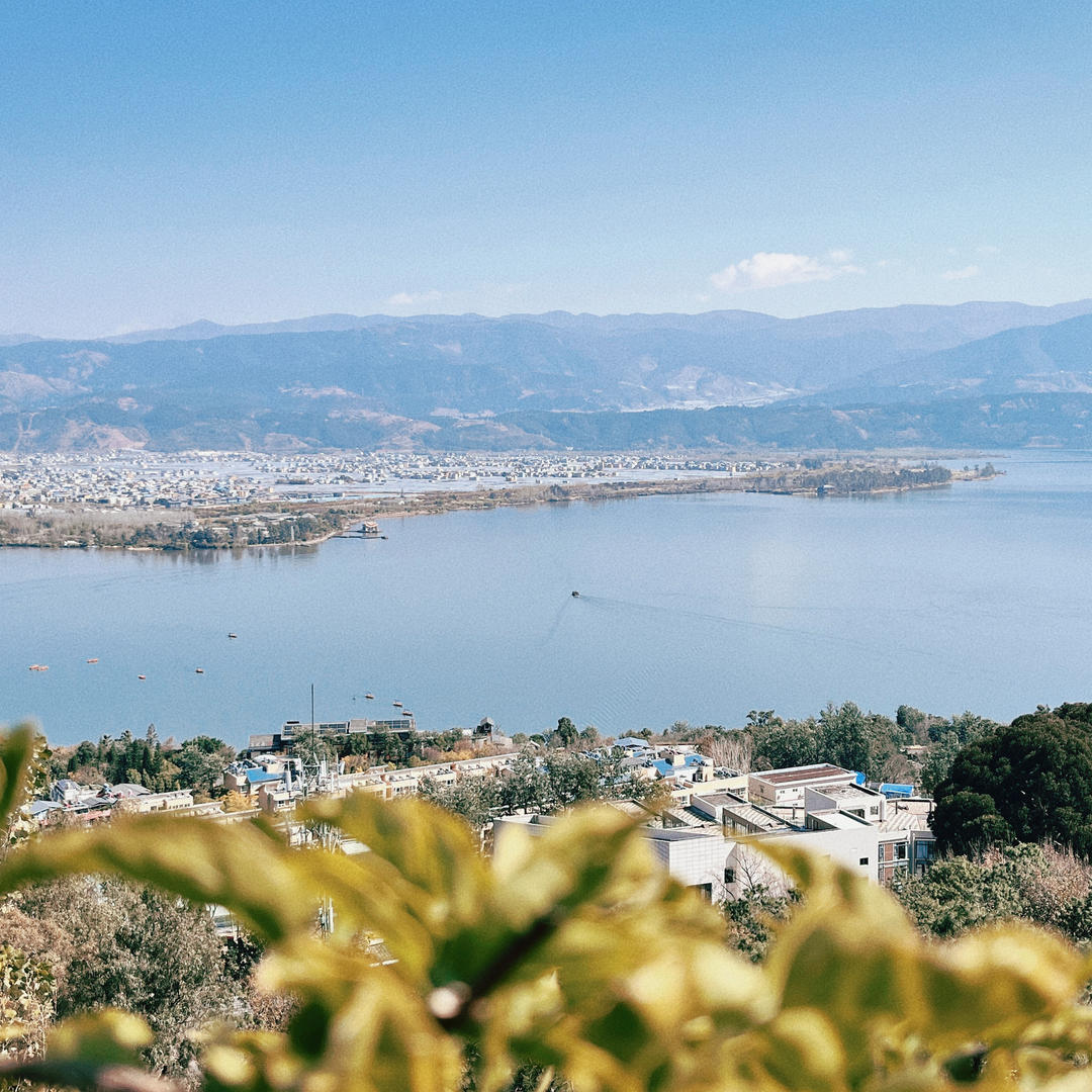 盐盐会做一点饭