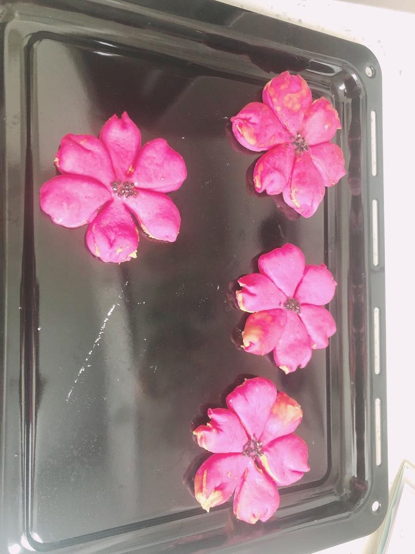 火龙果椰蓉樱花面包B51