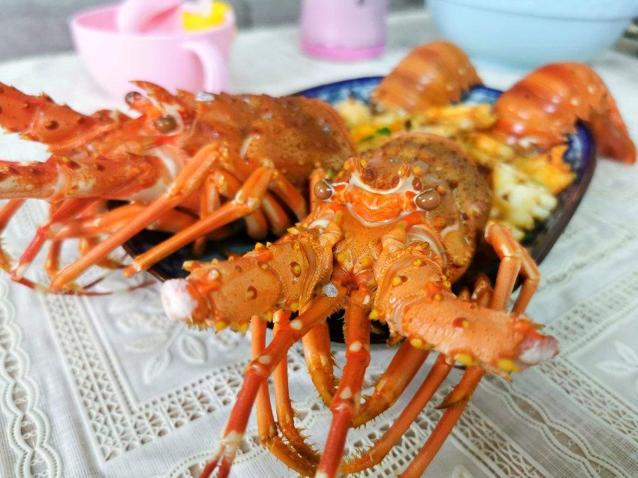 波士顿龙虾🦞