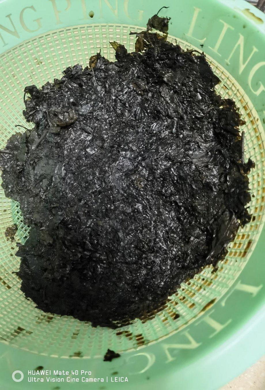 自制烧仙草——该你成功做出仙草冻了！