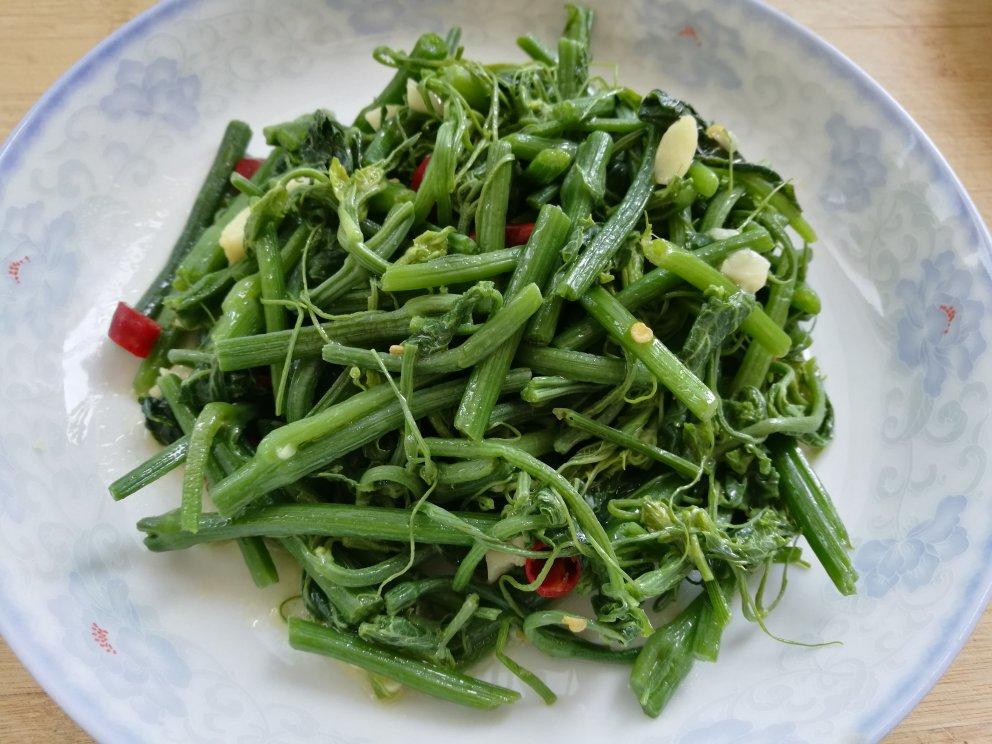 手机用户9116_jfoz做的清炒龙须菜