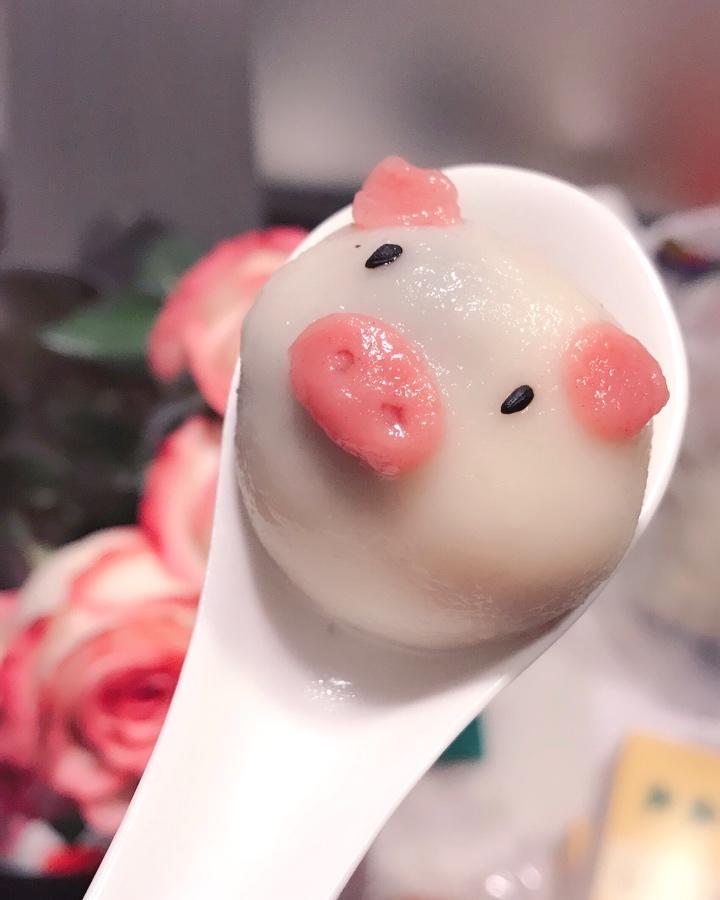 66幸运草做的小猪汤圆