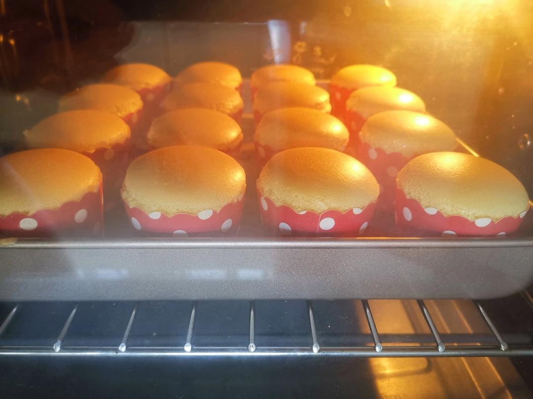 12连模纸杯戚风小蛋糕