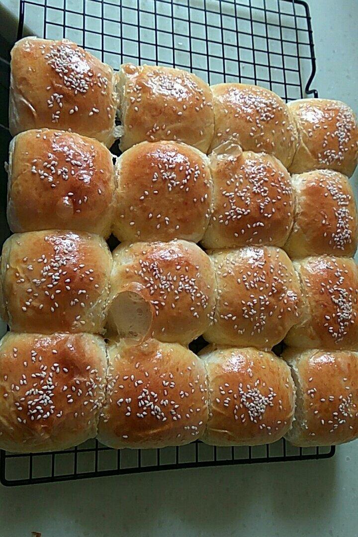 鲜奶油小餐包（一次发酵）