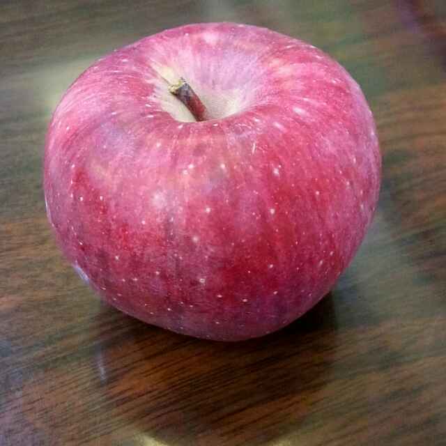 逆转九月