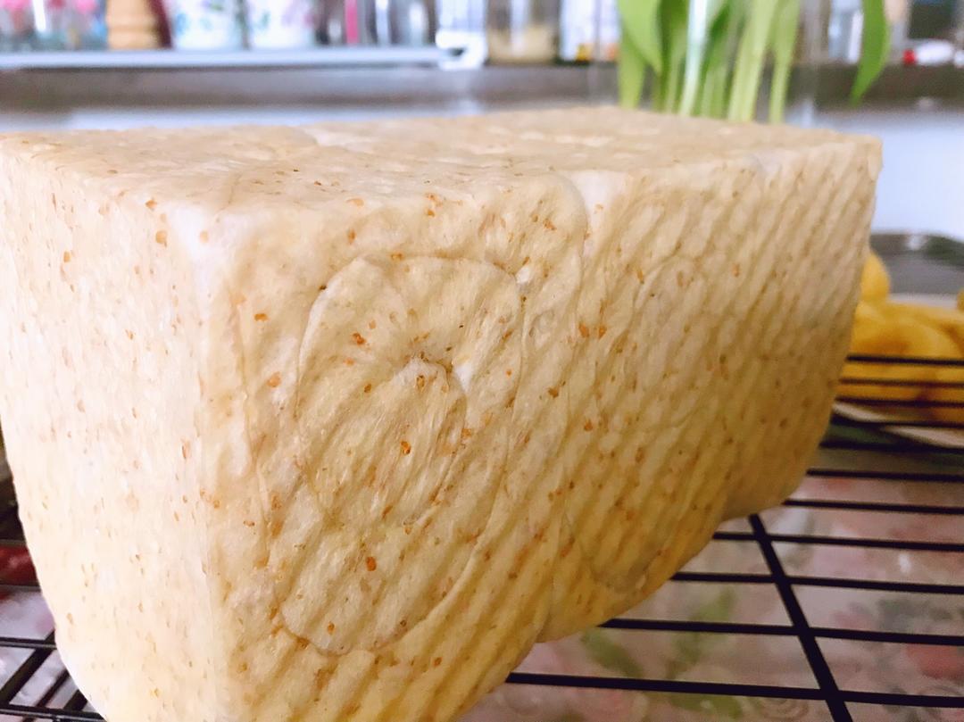 【UKOEO猛犸象热风炉】健康有营养 全麦葡萄干吐司