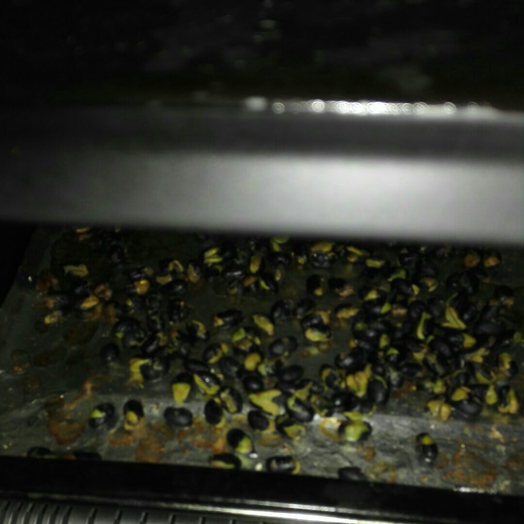 烤箱黑豆