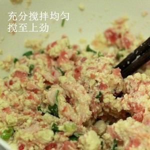 宝宝～豆腐肉饼的做法 步骤3