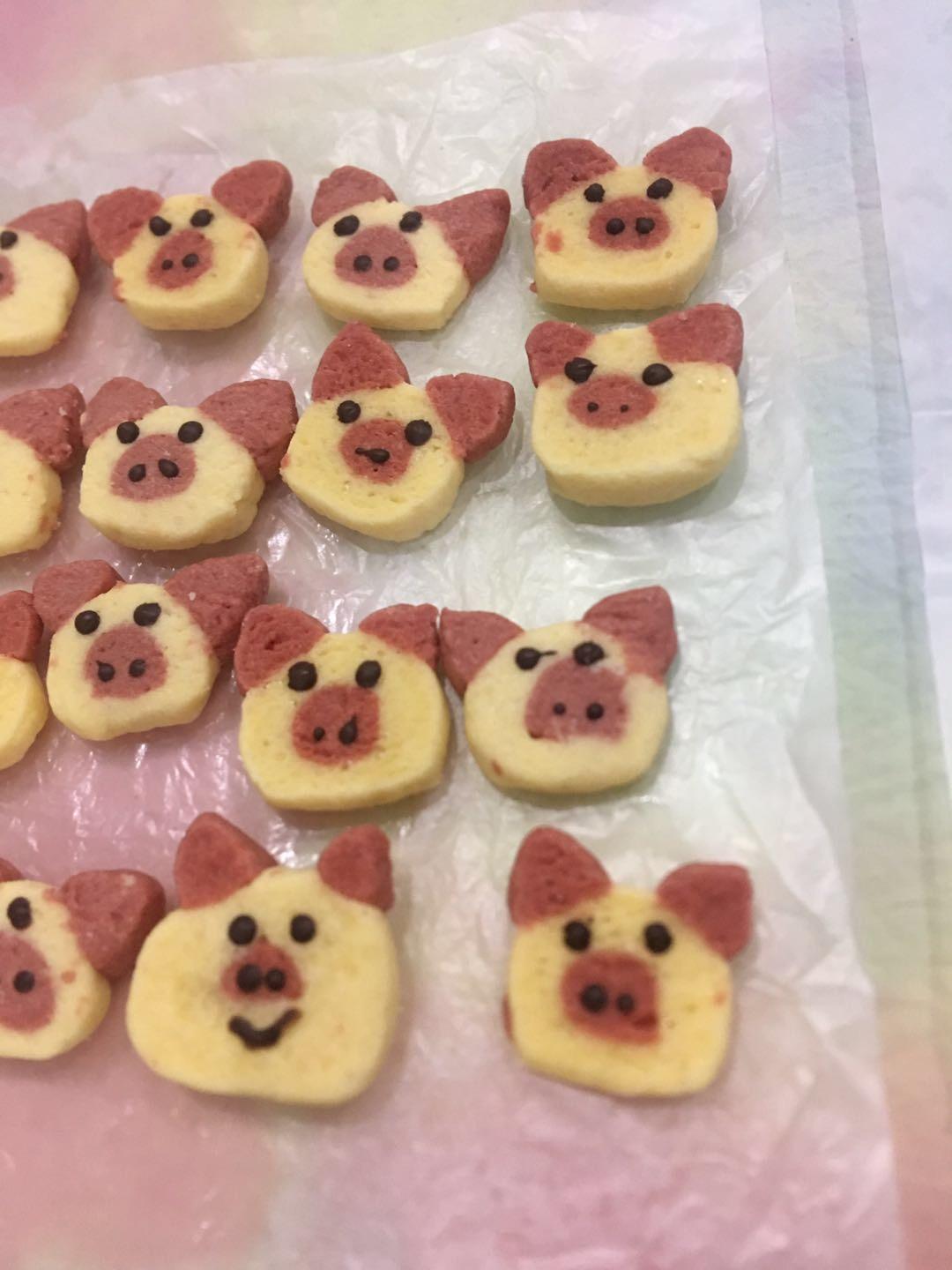 超可爱不用模具版动物曲奇饼干造型合集（小猪，小猫，青蛙，小熊，小兔）