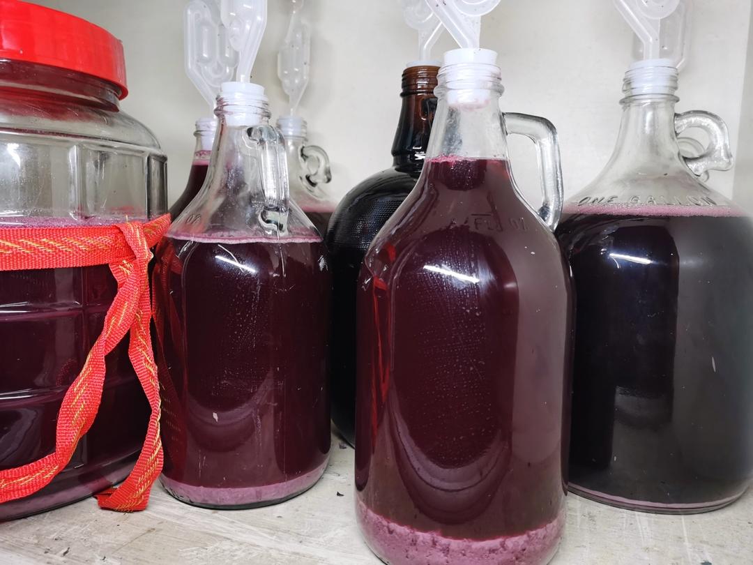 【相对专业】自酿安全高品质葡萄酒