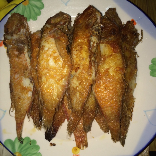 裸烹：香煎马头鱼