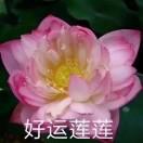 是小狐仙呀