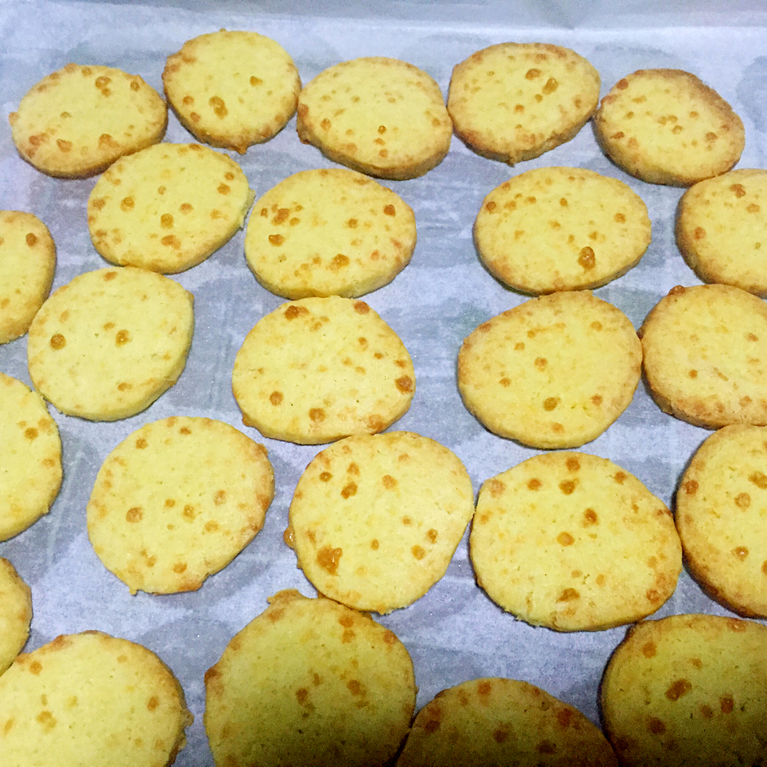 马苏里拉芝士咸味饼干