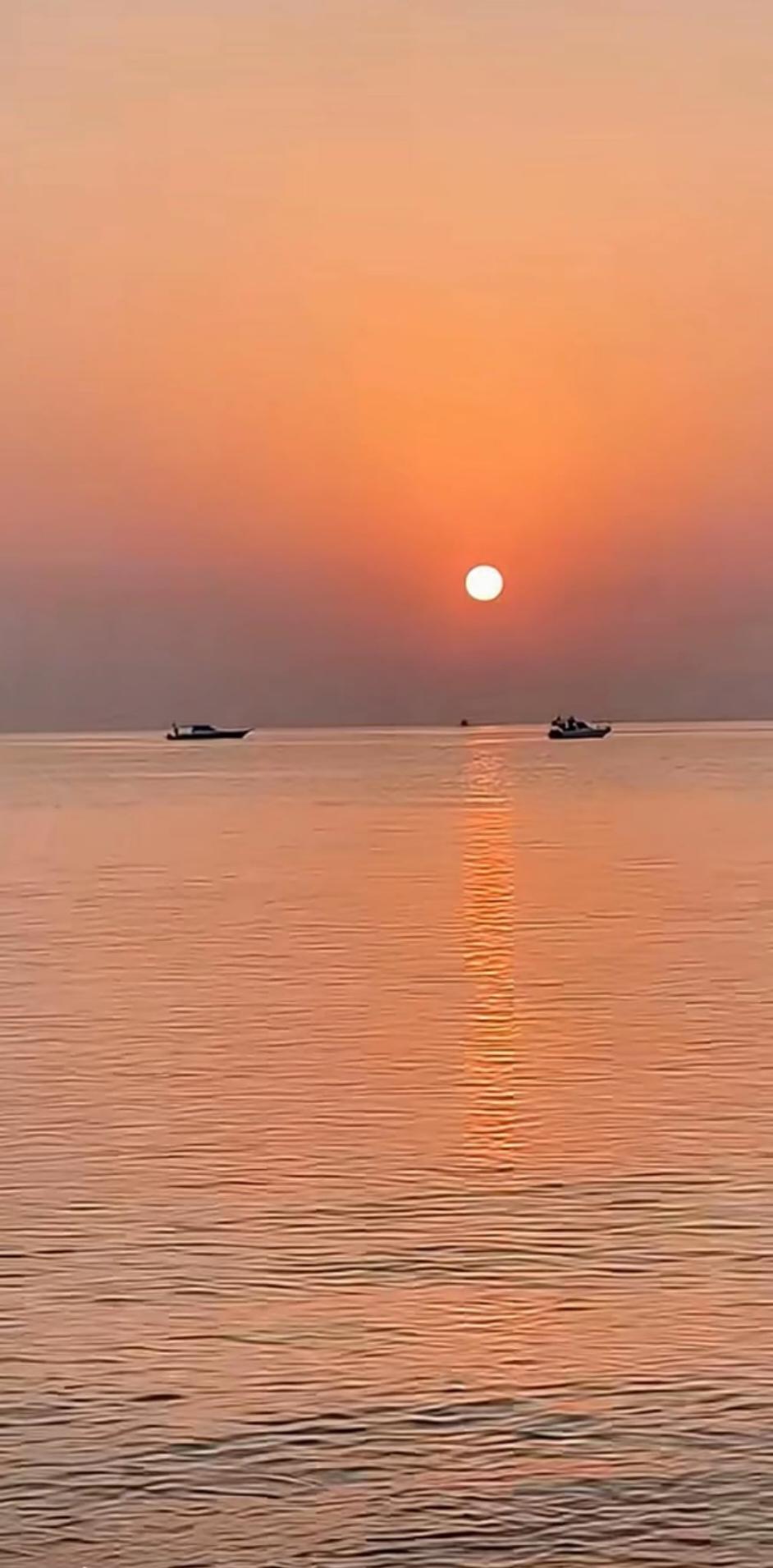 蓝向日葵