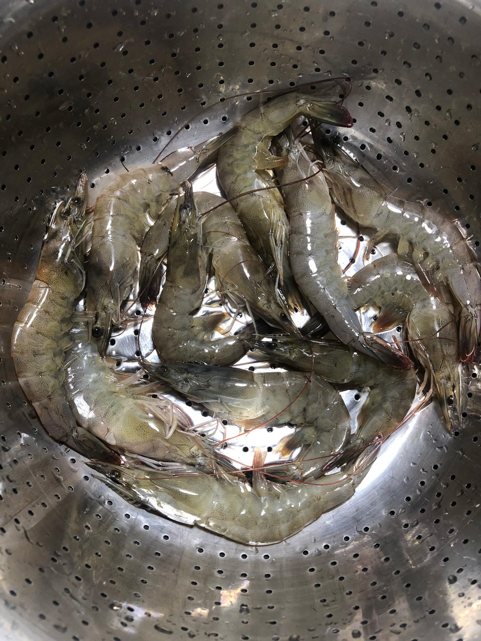 糖醋排骨【5月北鼎珐琅铸铁锅食谱】