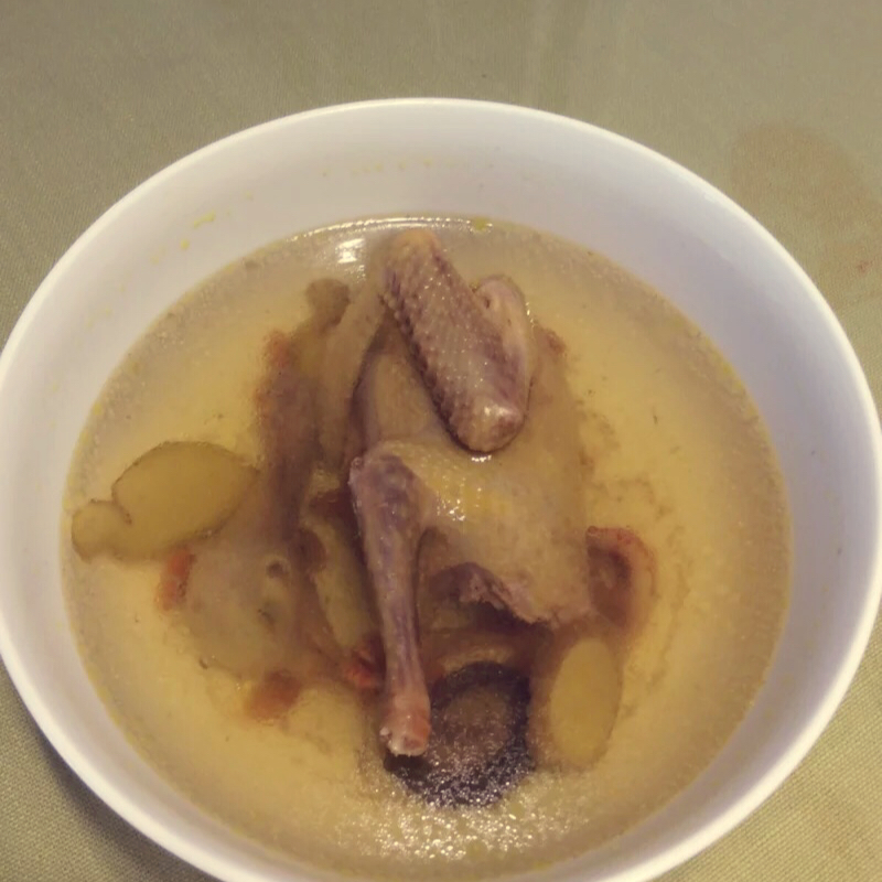 炖鸽子汤